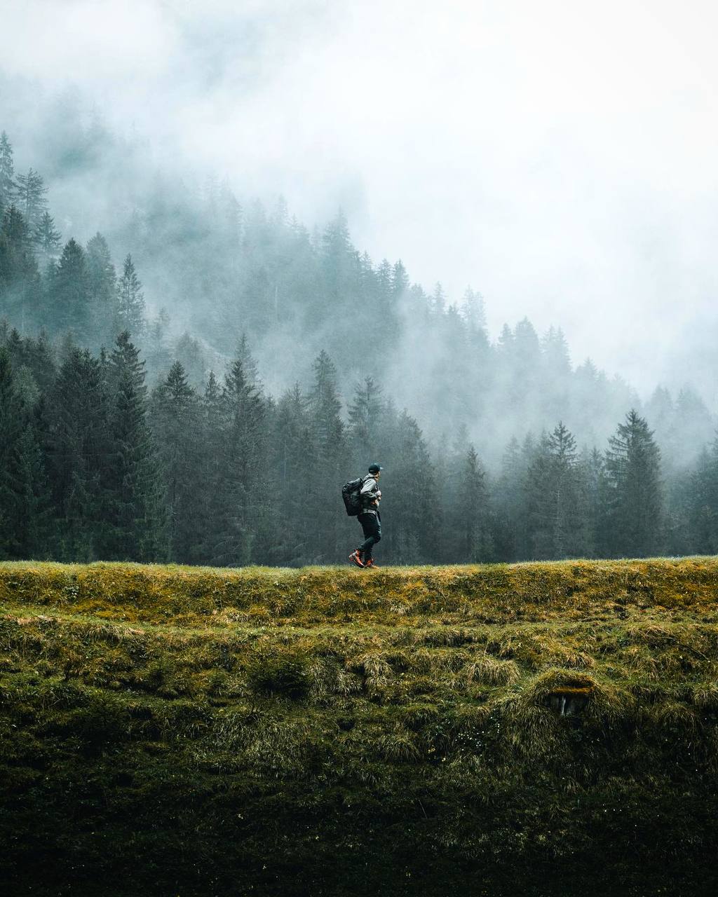 На лоне природы даже тот, кто совсем забыл о своём родстве с ней, с новой силой ощущает эту живую...