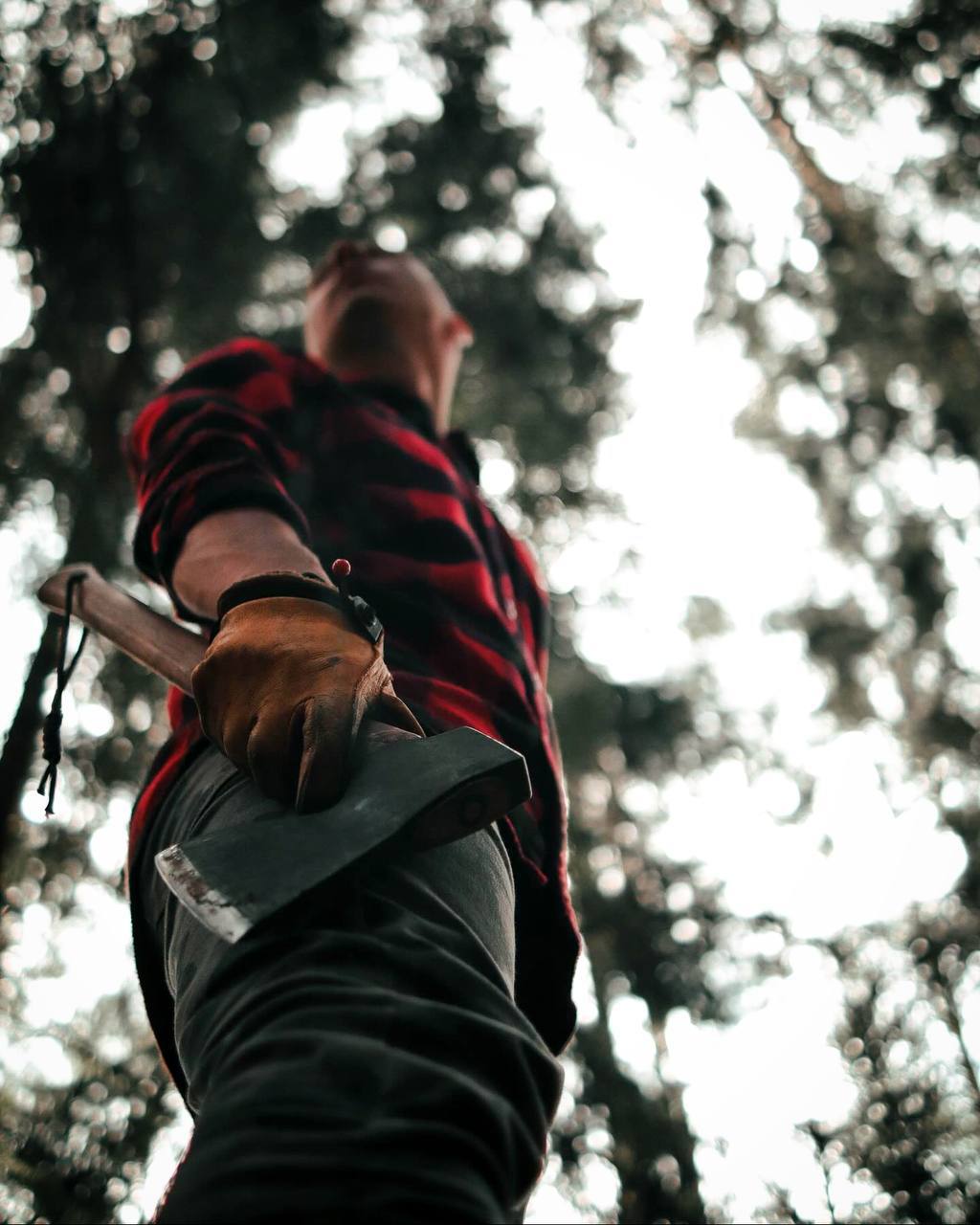 Есть только два плеча на которые то можешь твердо положиться