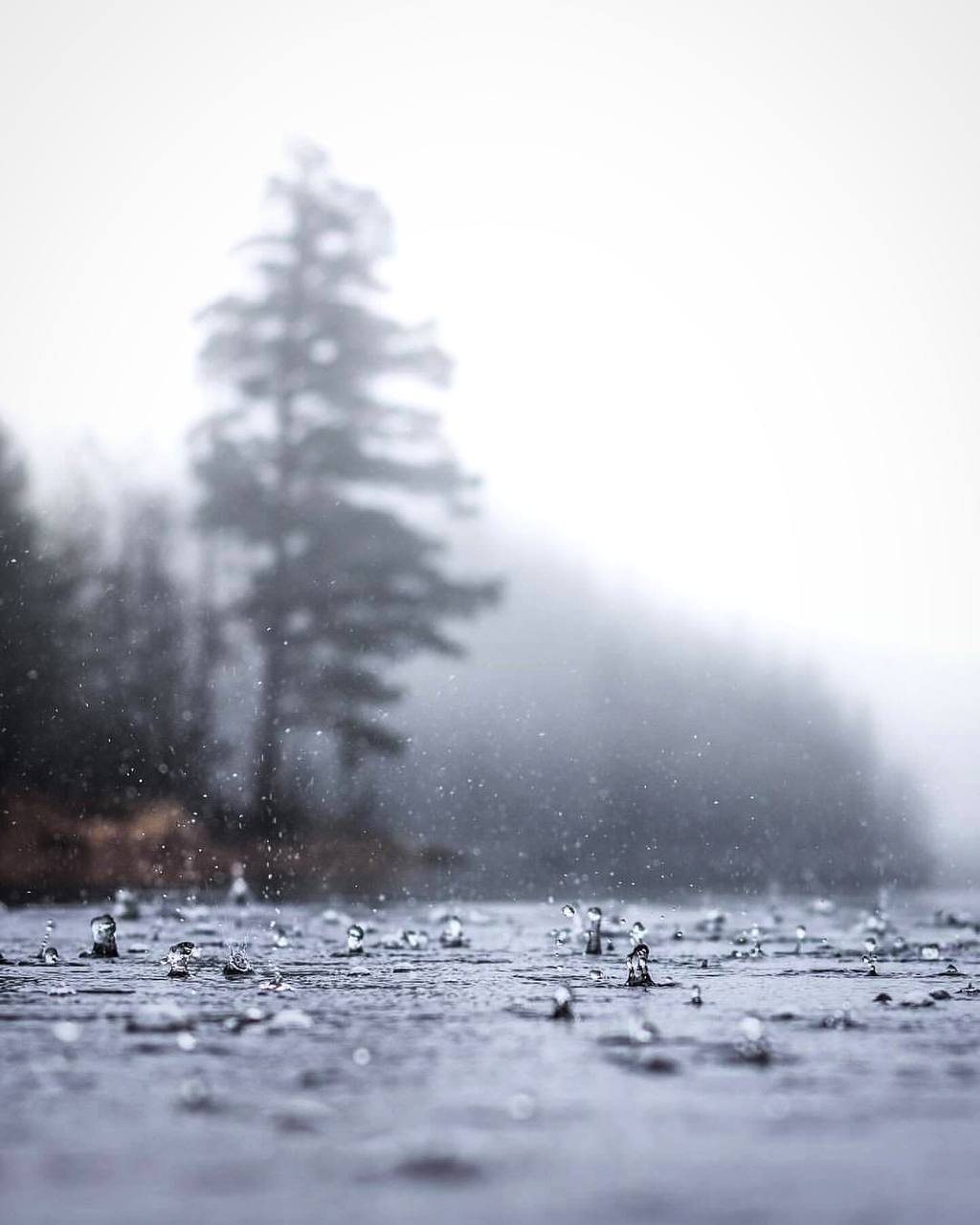 Дождь омывал мир, и этот шелест казался очищающим, хотя некоторые пятна отмыть невозможно никогда.