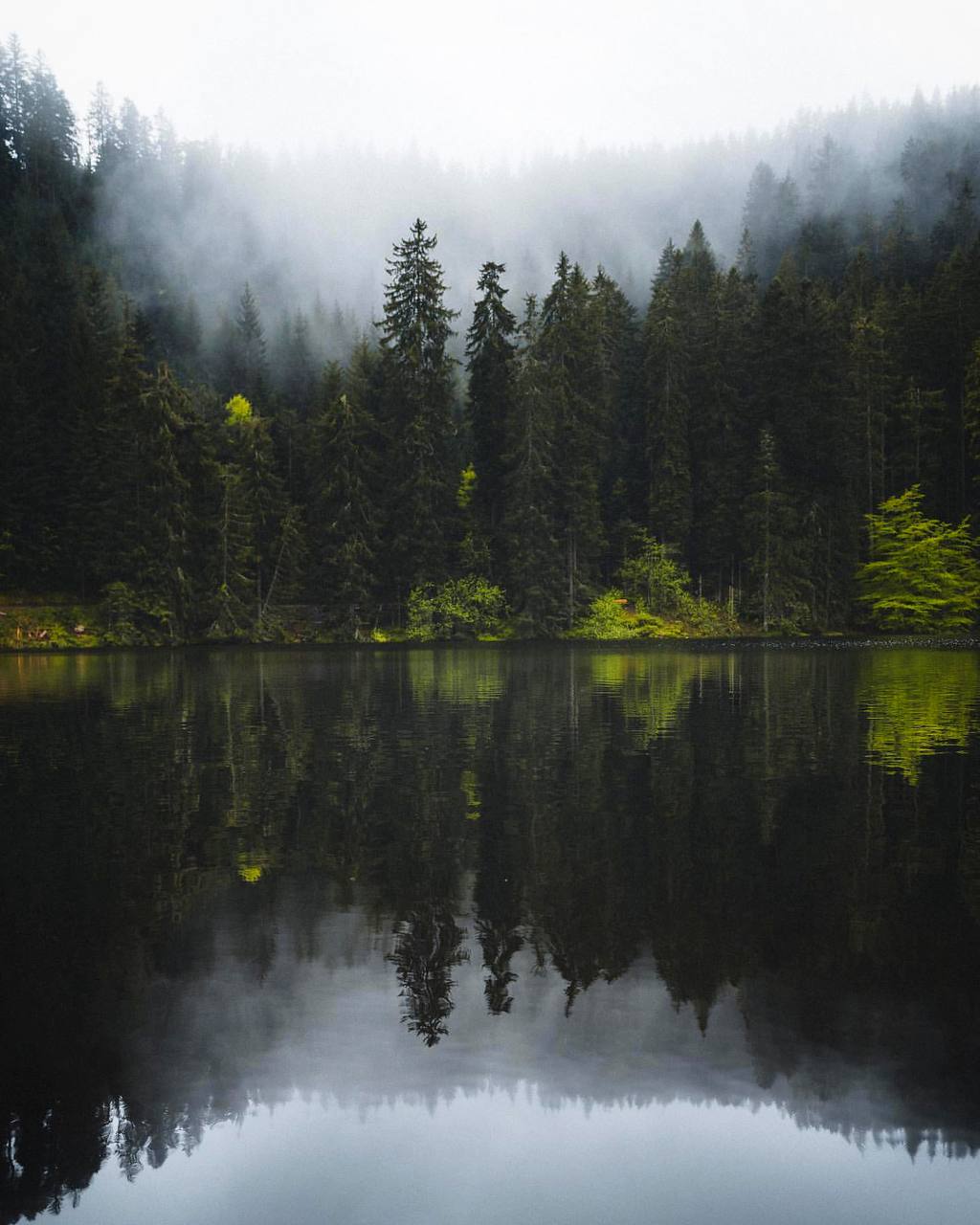 Природа не признаёт шуток; она всегда правдива, всегда серьезна, всегда строга; она всегда права;...