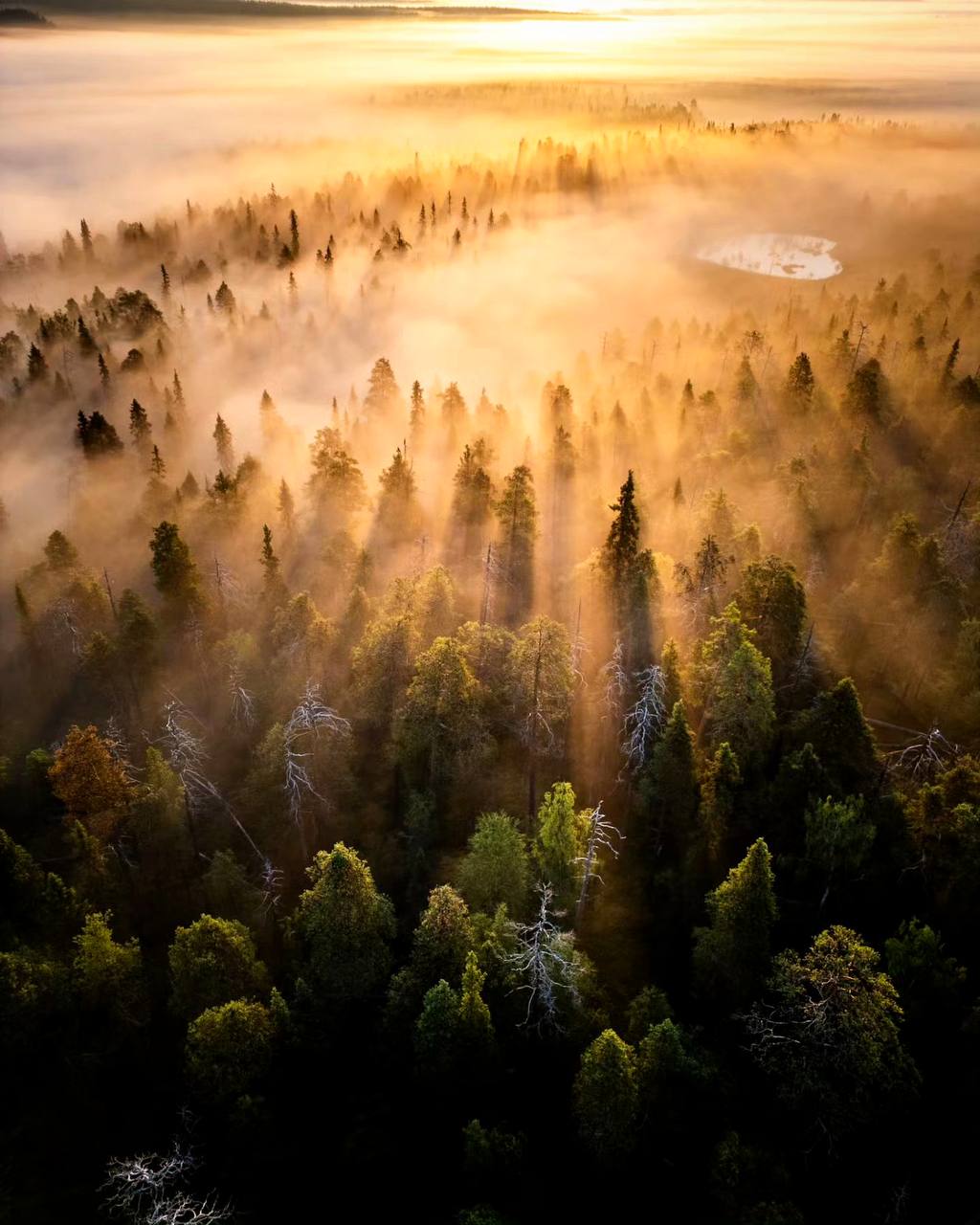 «Вот это и есть Земля», — подумал он