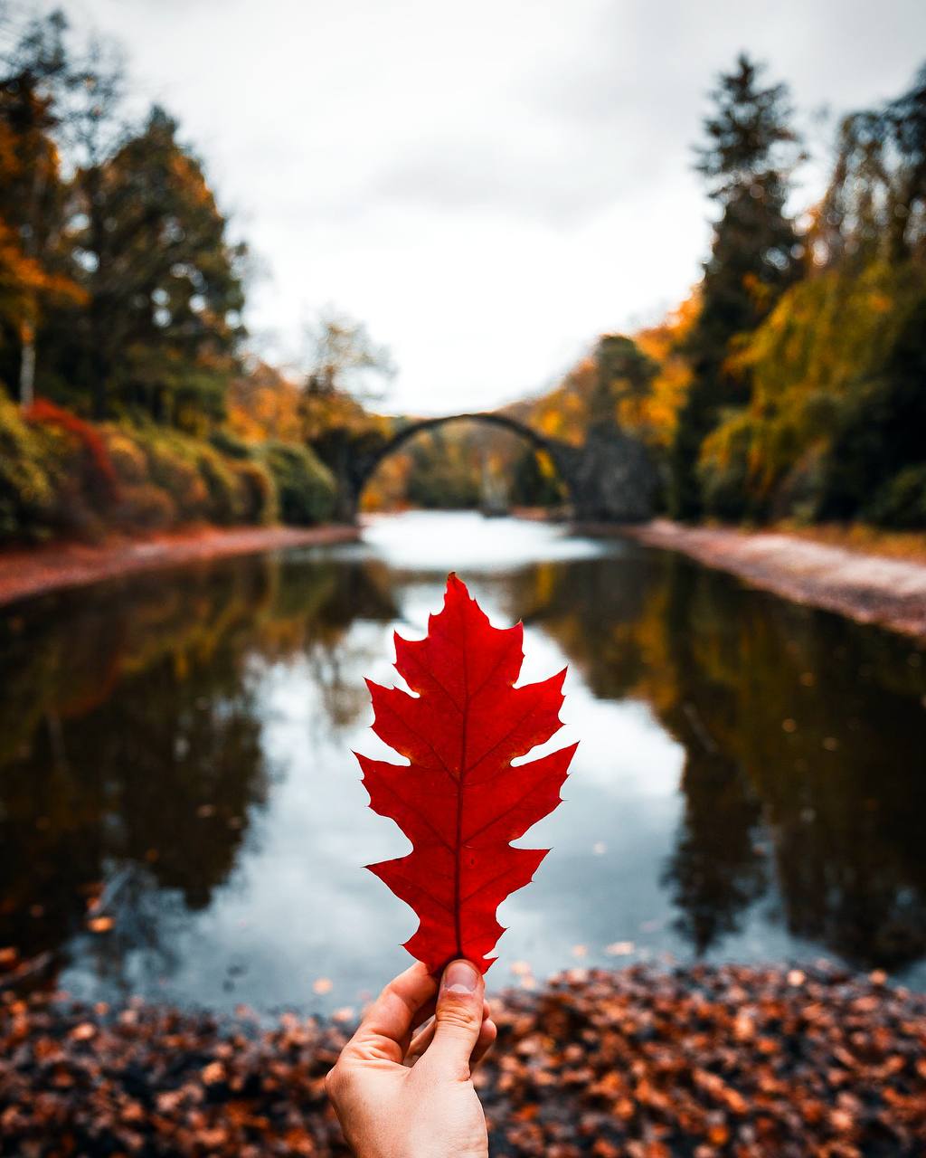 Осень — это вторая весна, когда каждый лист — цветок.