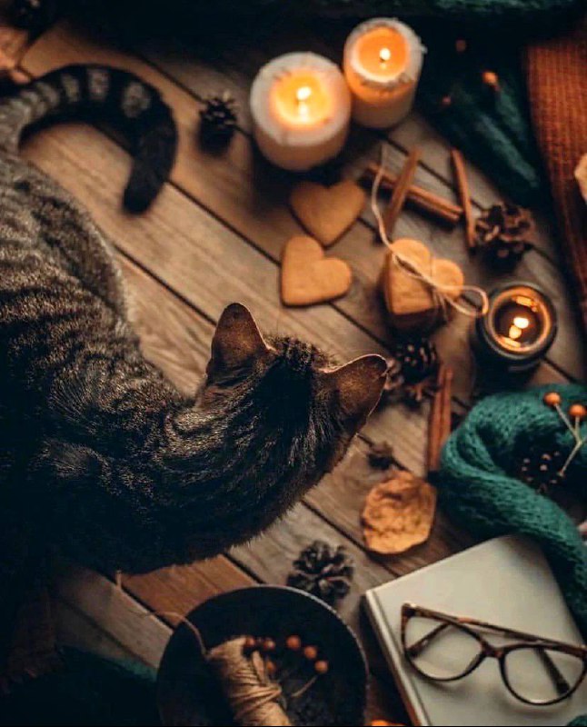 Тепло душевное. Когда всем хорошо и уютно. Когда отогреваешься и чувствуешь себя дома