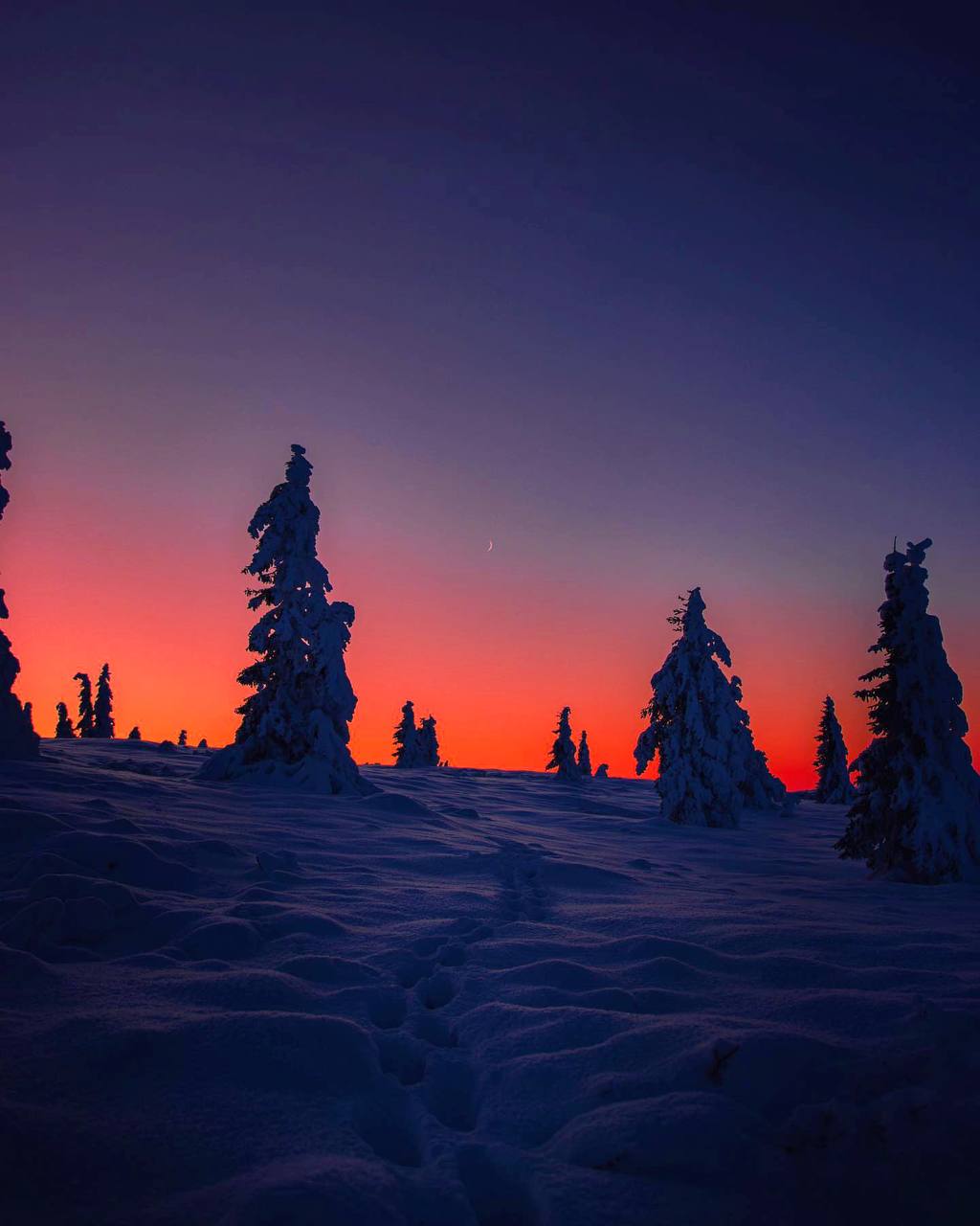 Нужен ли человеку пейзаж? Пейзаж прекрасно обходится без человека, но в некотором смысле и не