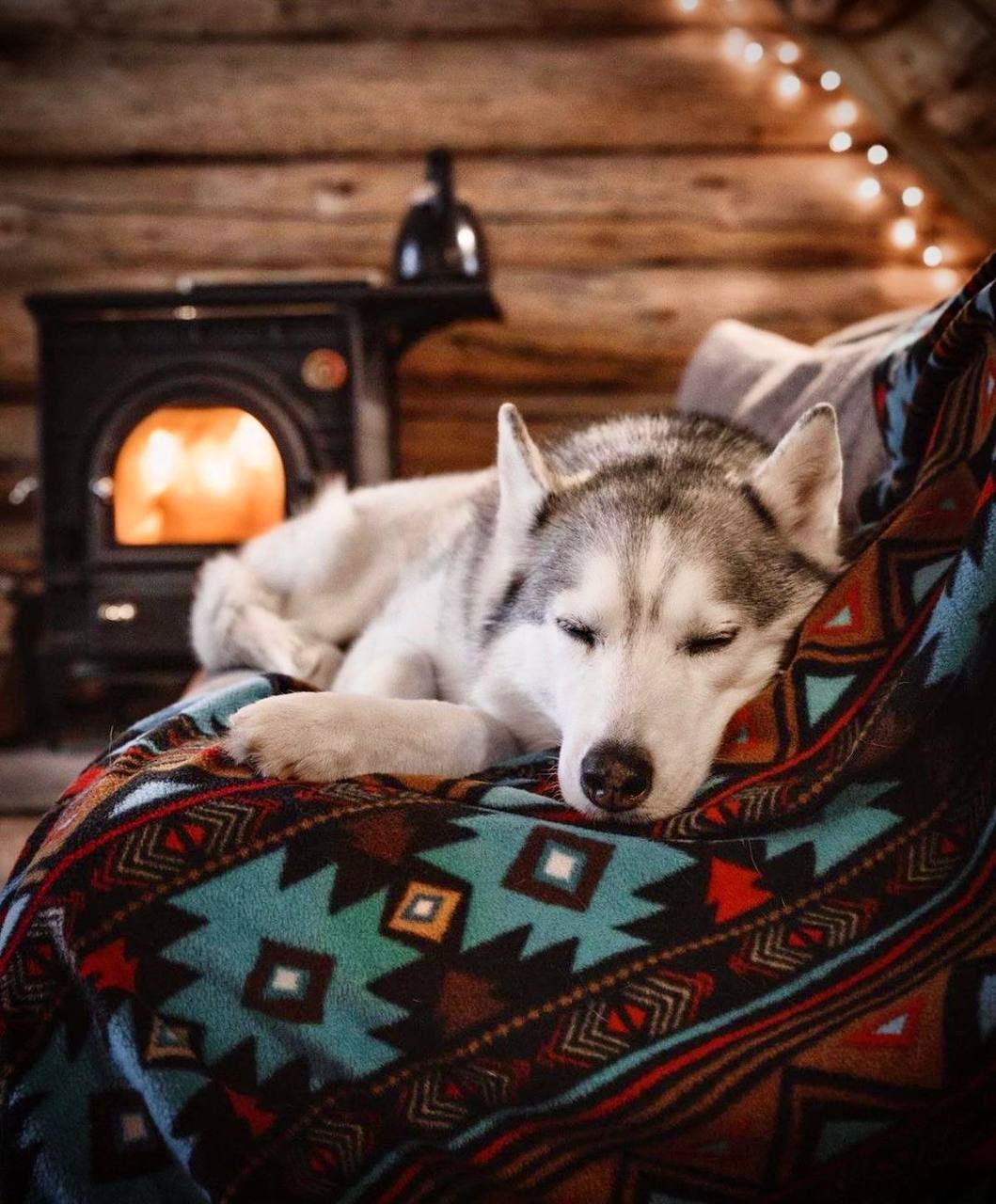 Если и есть на свете такая штука, как абсолютное счастье, то это ощущение, что ты — в правильном...