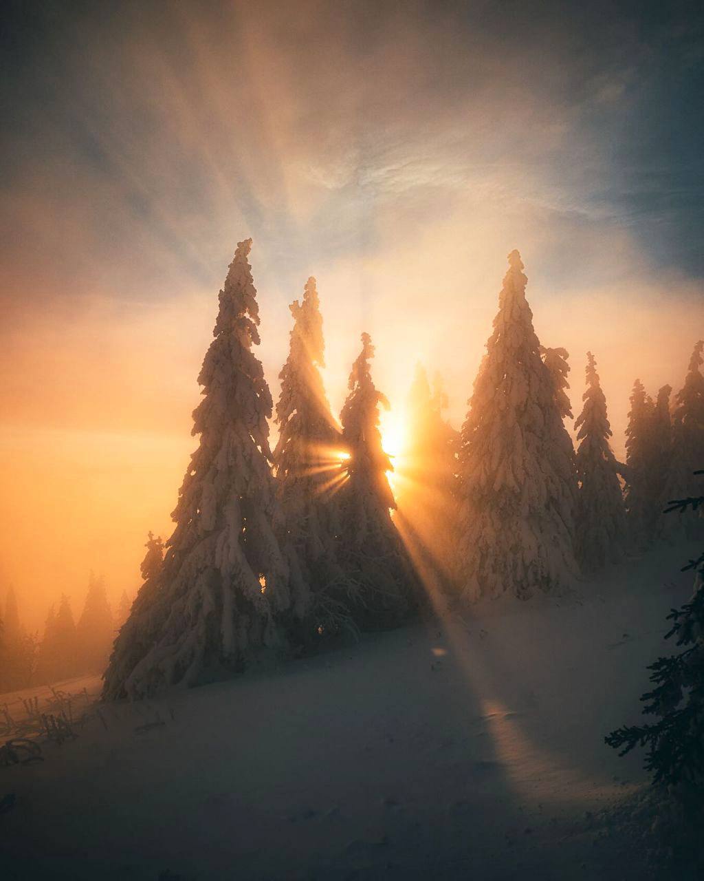 Без зимних морозов нет радости от весеннего тепла. И, кстати, морозами тоже можно наслаждаться.