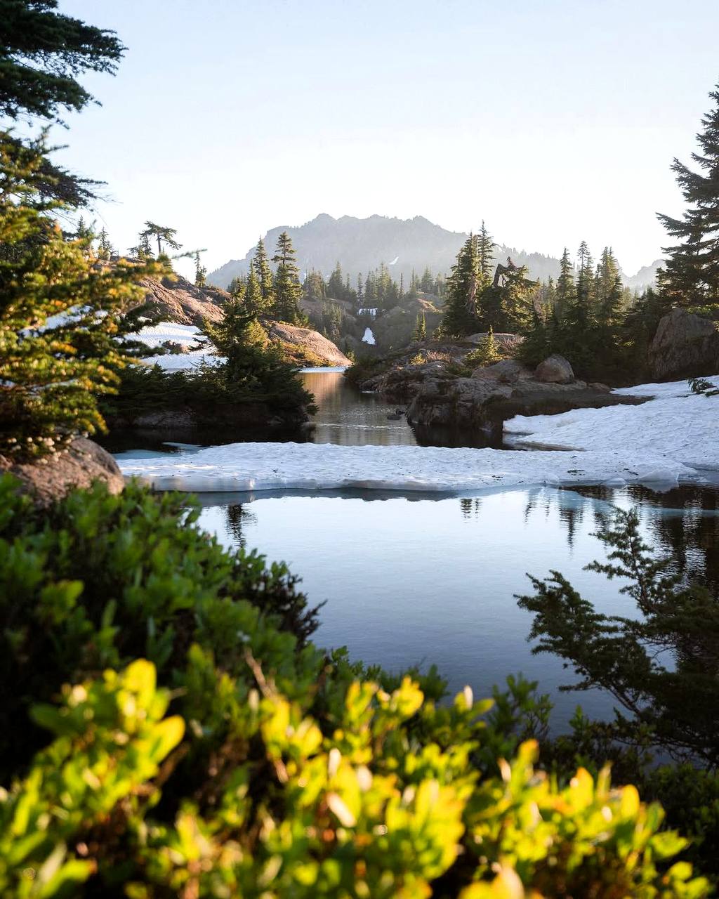 Природа не признаёт шуток; она всегда правдива, всегда серьезна, всегда строга; она всегда права;...