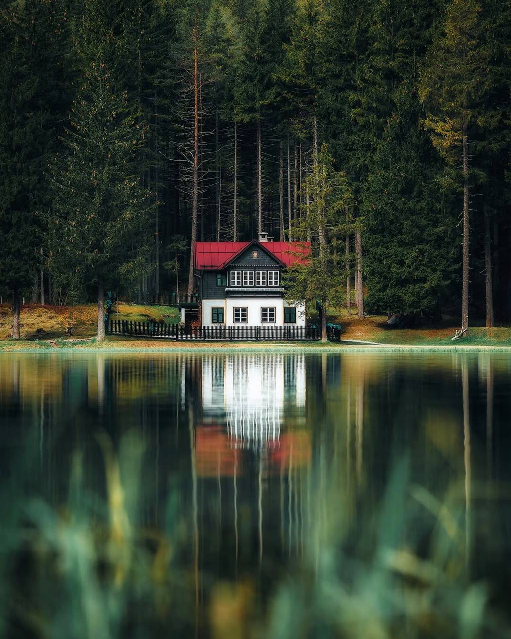 Холод, молчание и одиночество — вещи, которые завтра станут дороже золота