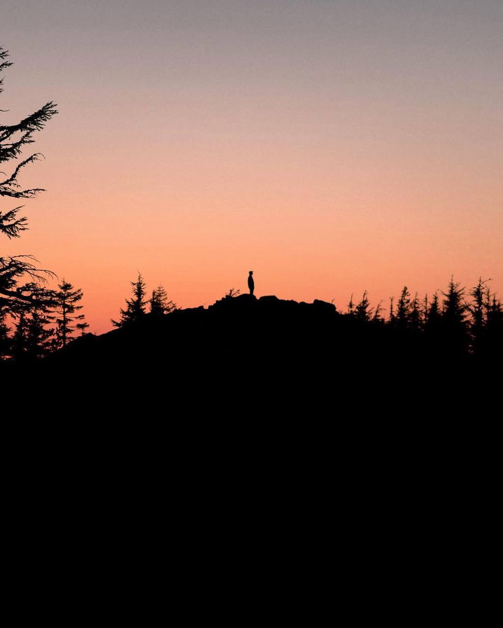 Нужен ли человеку пейзаж? Пейзаж прекрасно обходится без человека, но в некотором смысле и не...