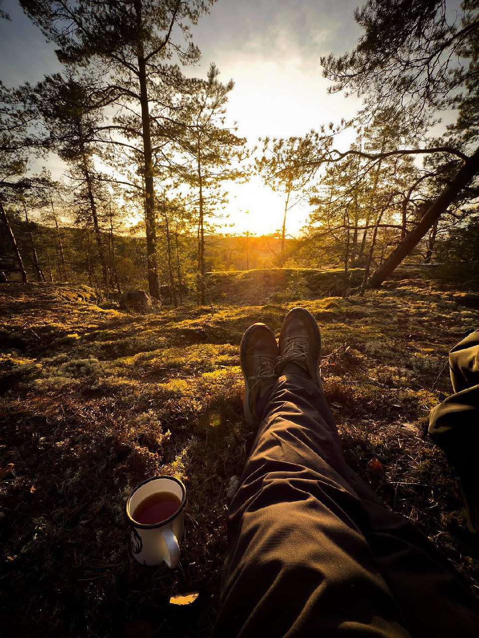 Рассвет и закат — два важнейших момента, а человек обычно зевает…Станислав Ежи...