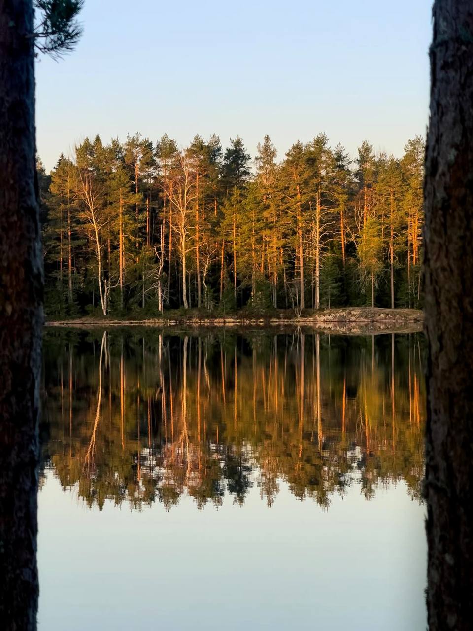 Мы были бы лучшими зеркалами в мире, если бы поменьше любовались собственным отражением