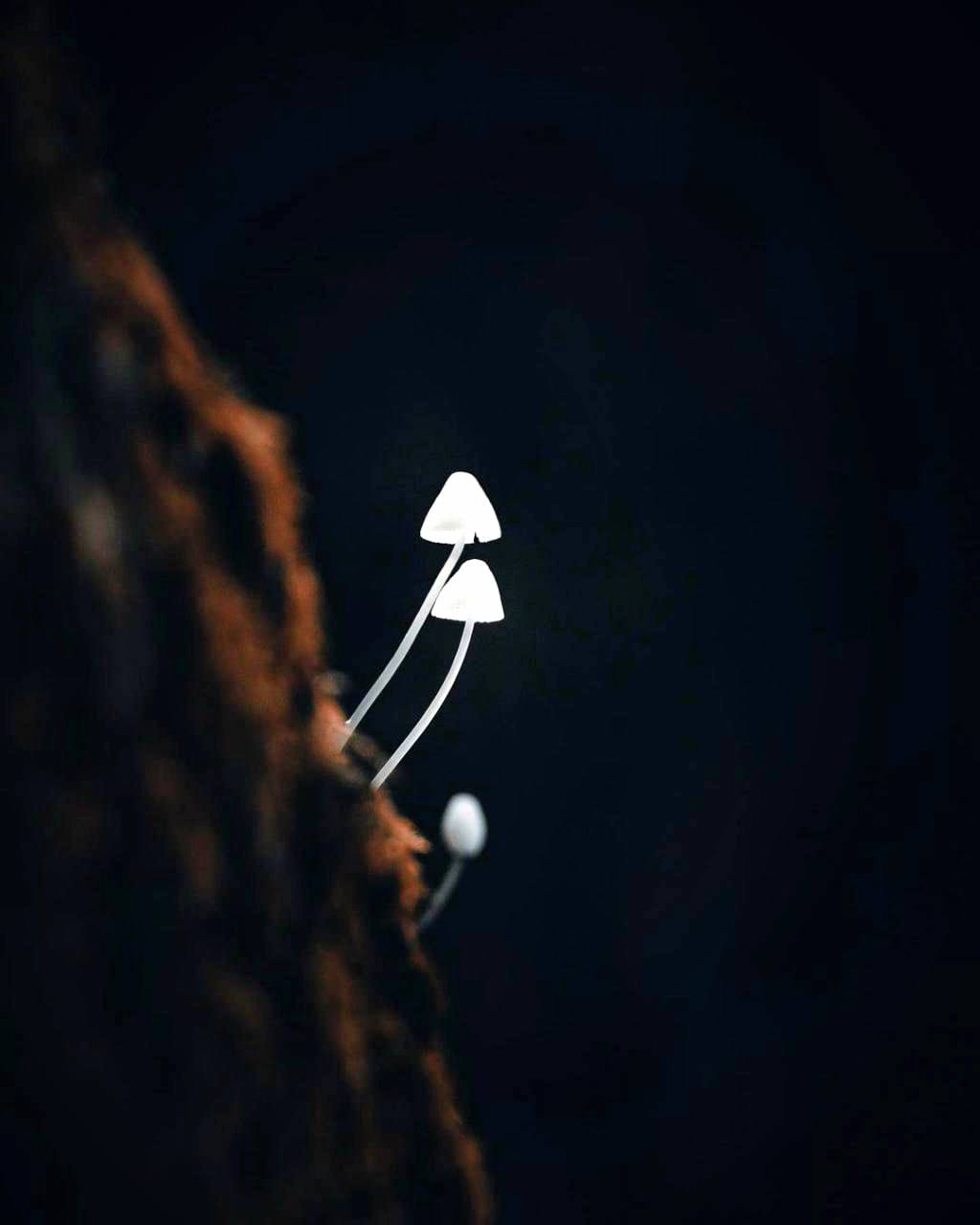 Природа есть причина всего, она существует благодаря самой себе; она будет существовать и...