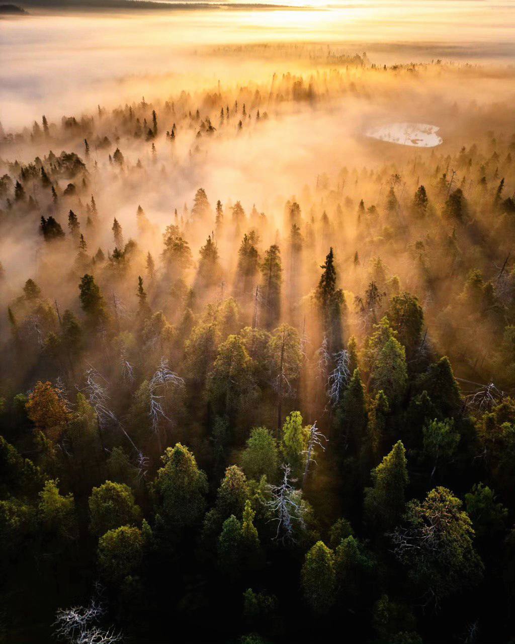 Вы живёте вместе с землёй и небом, вы одно целое с ними, одно целое с этой ширью и незыблемостью...